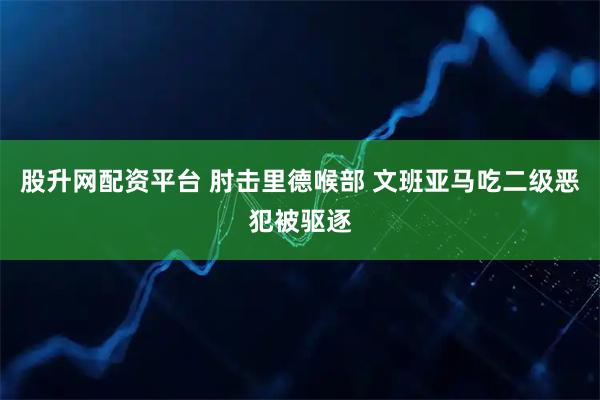 股升网配资平台 肘击里德喉部 文班亚马吃二级恶犯被驱逐