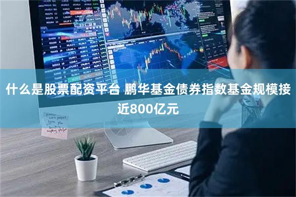 什么是股票配资平台 鹏华基金债券指数基金规模接近800亿元