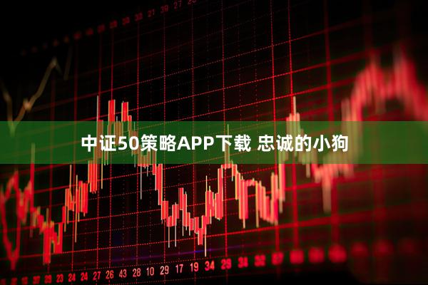 中证50策略APP下载 忠诚的小狗